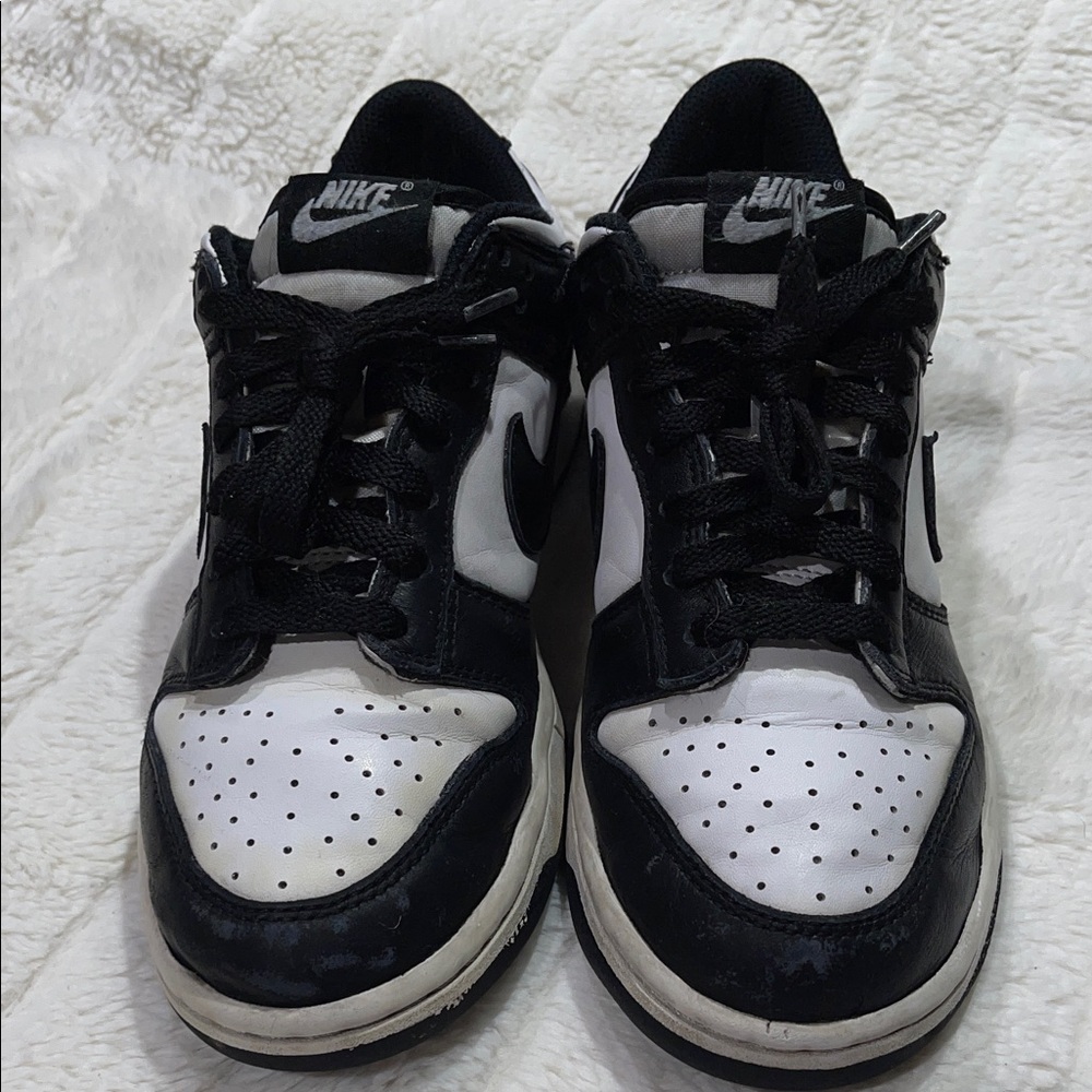 Nike Dunk Black and White
